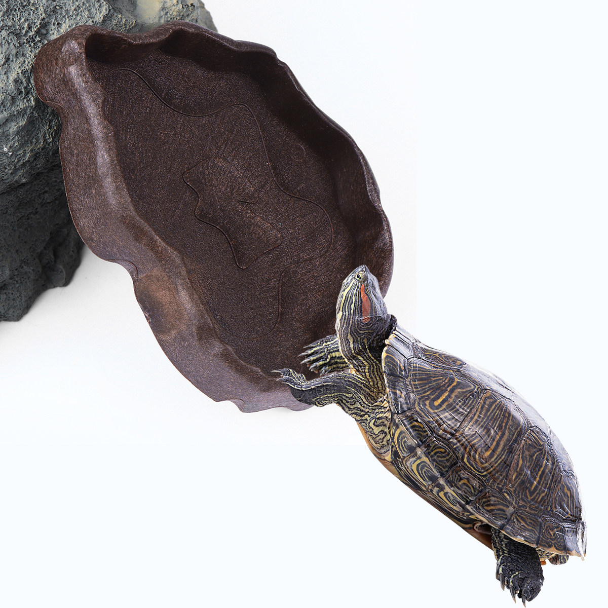 Water Dish Reptile - Plato de Resina para Reptiles, Tamaño