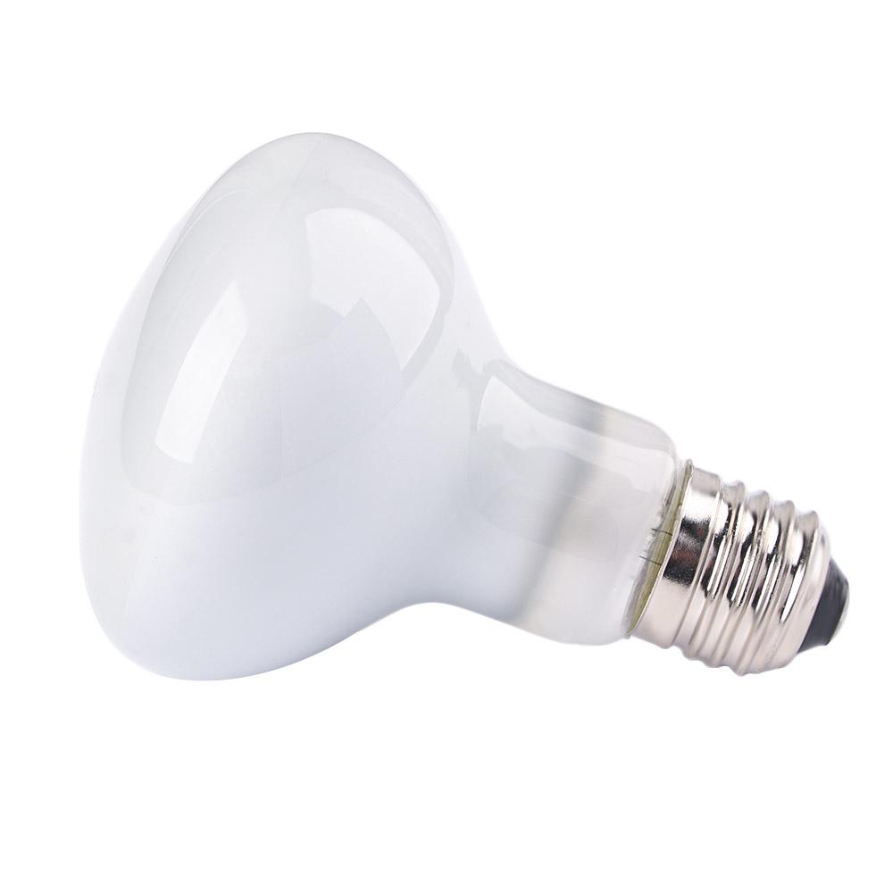 Basking Bulb Halogen - Controlador de Temperatura para Anfibios, Lámpara