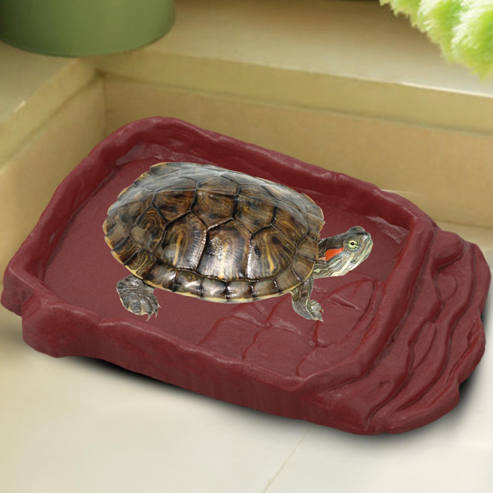 Water Dish Reptile - Bañera para Tortugas, Plato de Agua,