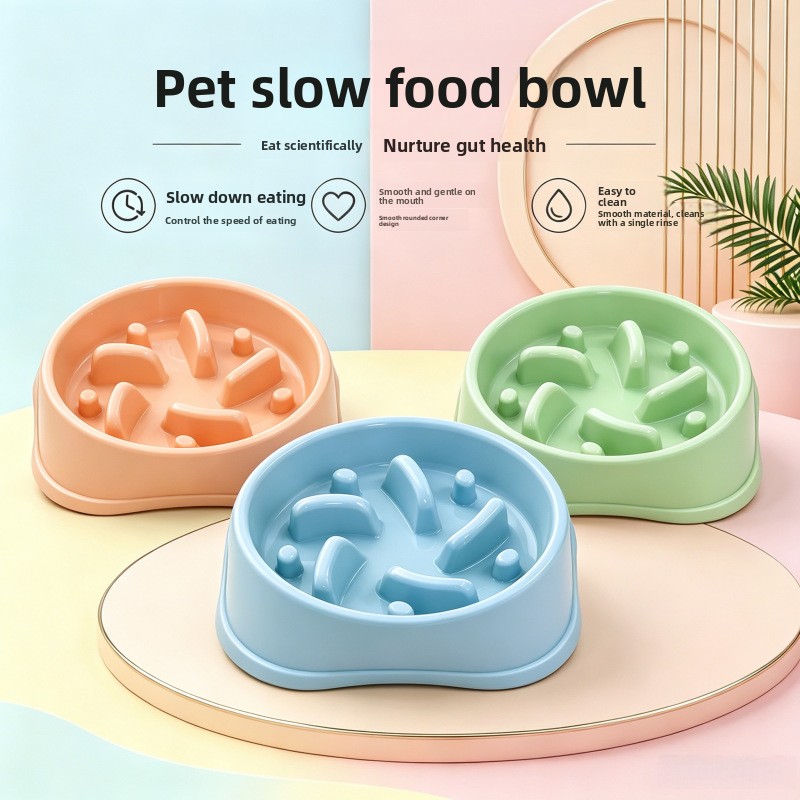 1/3 piezas Cuenco Antideslizan - Royal Canin Food Medium reseña y precio