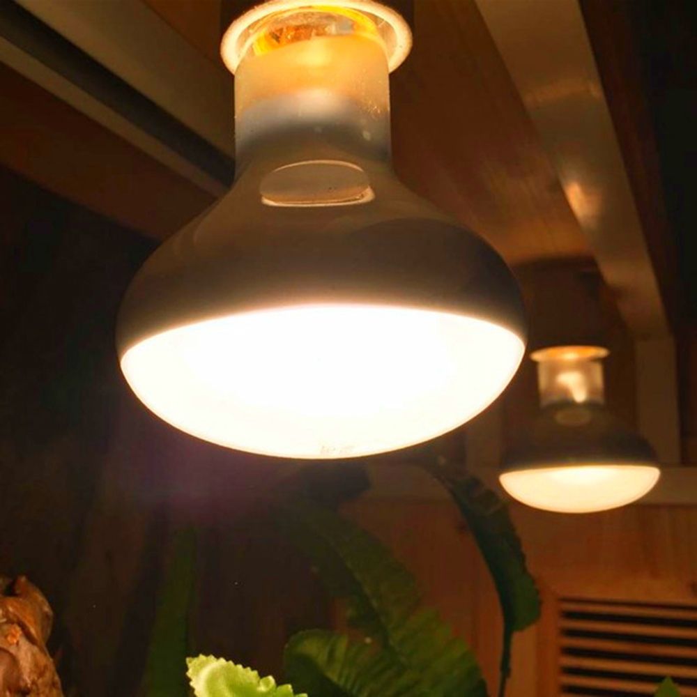 Lámpara de Calor para Anfibios - Basking Bulb Halogen reseña y precio
