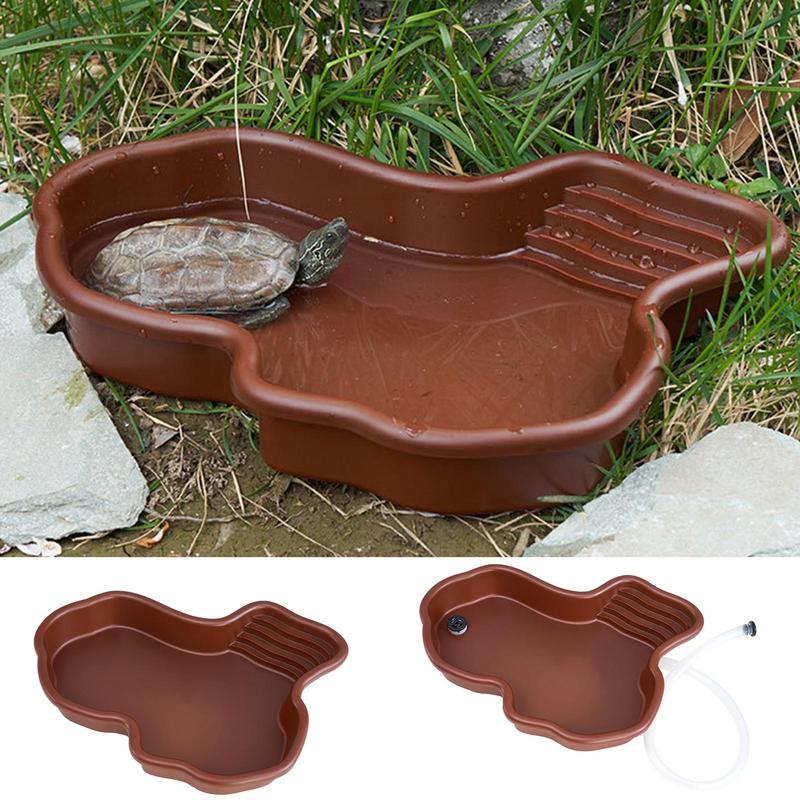 Plato de alimentación de tortu - Water Dish Reptile reseña y precio