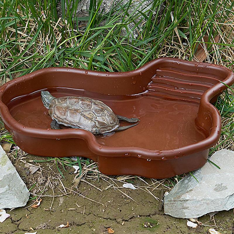 Plato de alimentación de tortu - Water Dish Reptile reseña y precio