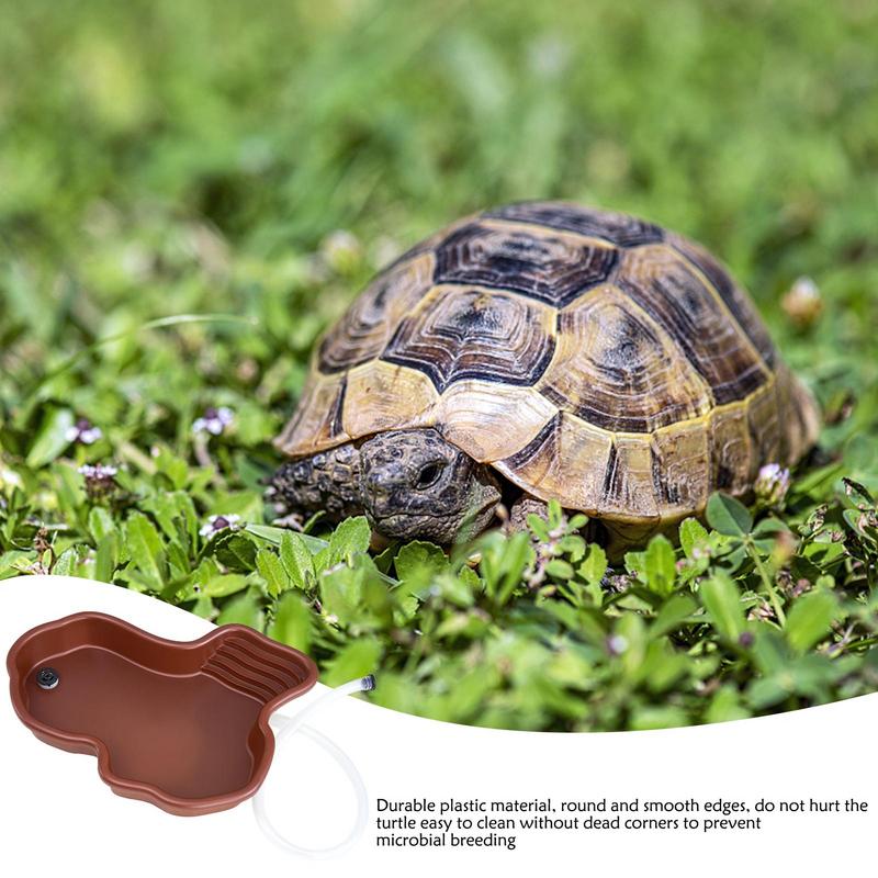 Plato de alimentación de tortu - Water Dish Reptile reseña y precio