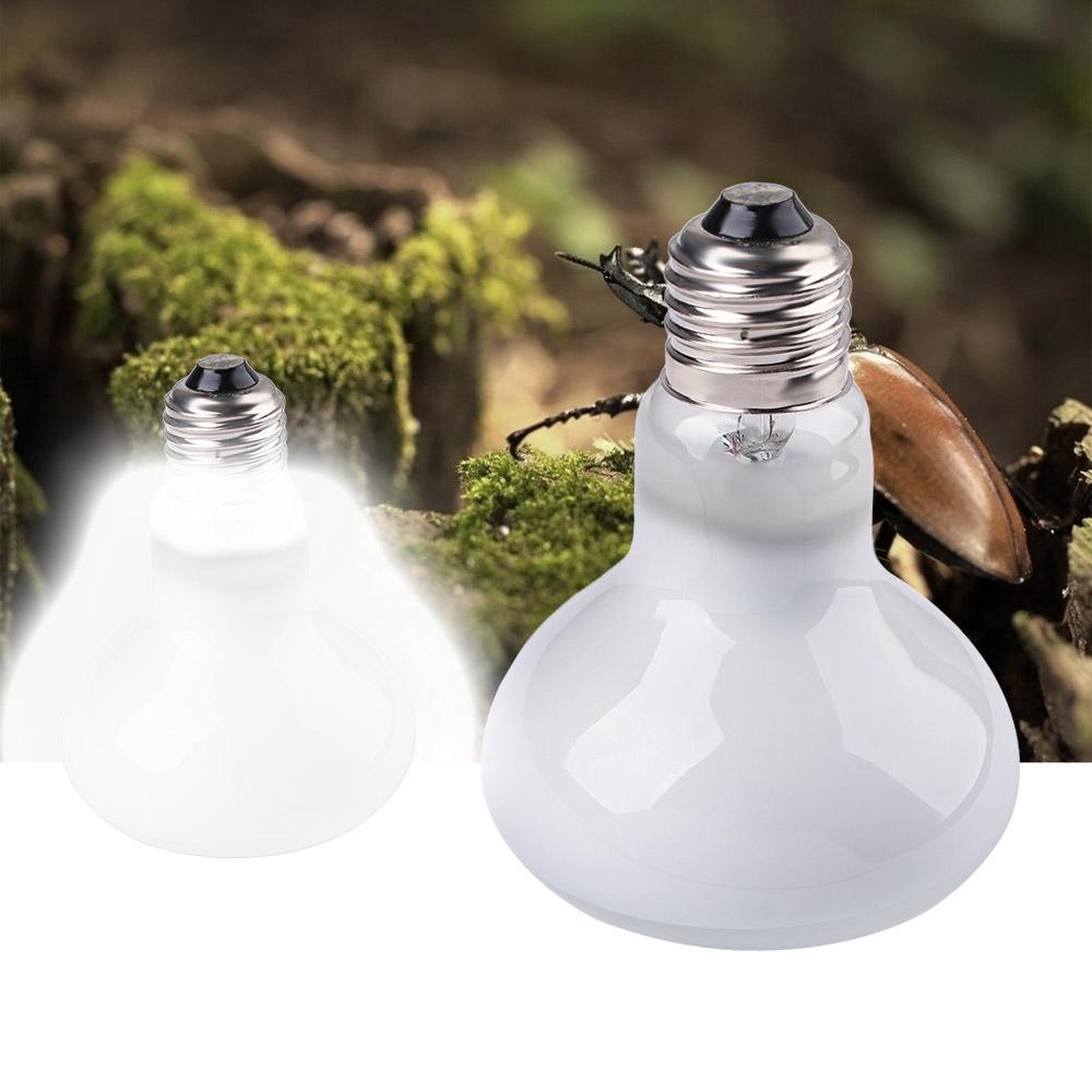 Controlador de Temperatura par - Basking Bulb Halogen reseña y precio