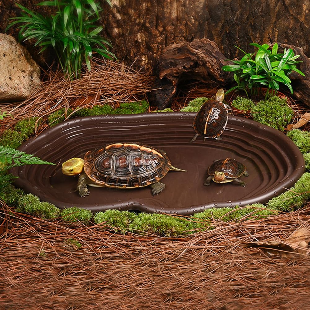 Plato de baño para reptiles, h - Water Dish Reptile reseña y precio