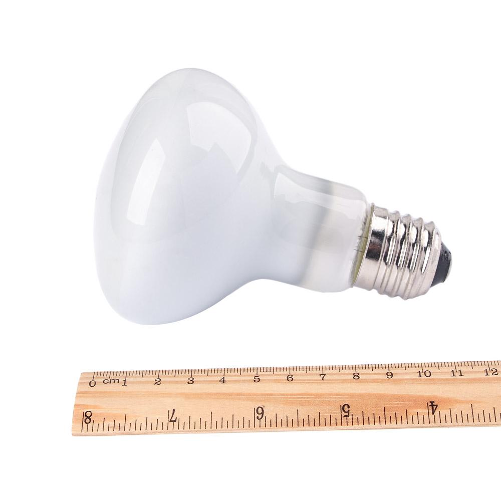 Controlador de Temperatura par - Basking Bulb Halogen reseña y precio