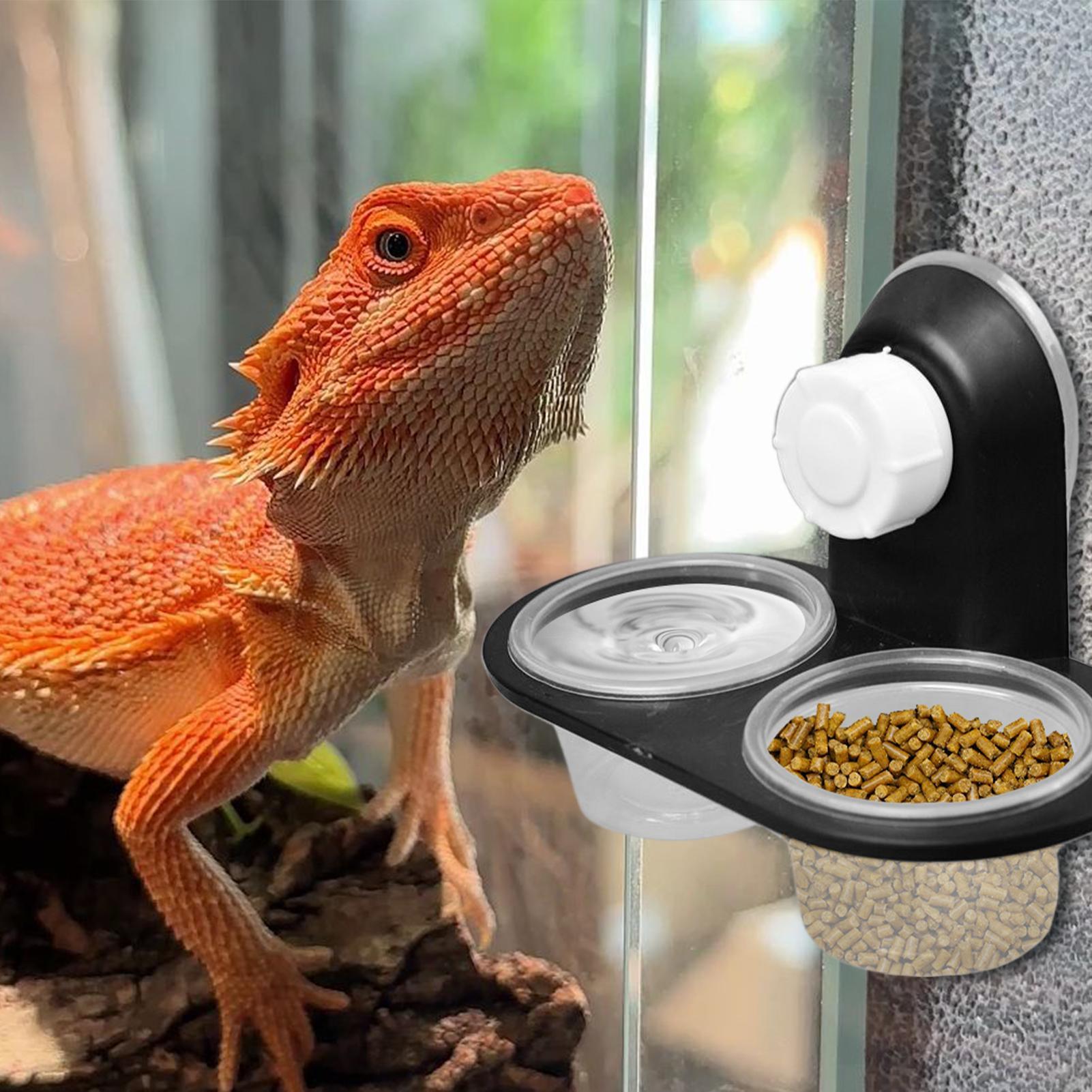 Plato de comida para geckos, d - Water Dish Reptile reseña y precio