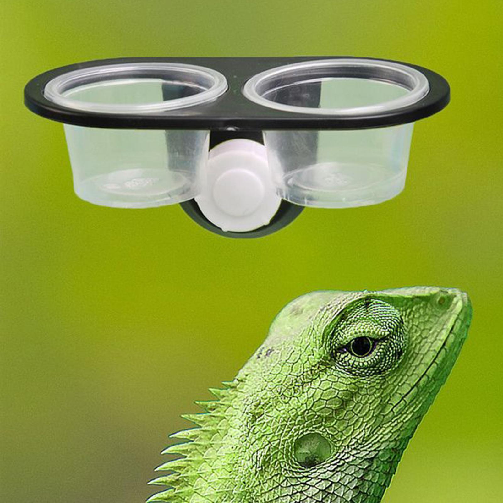 Plato de comida para geckos, d - Water Dish Reptile reseña y precio