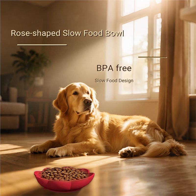 A11E - Artículos para mascotas - Royal Canin Food Medium reseña y precio
