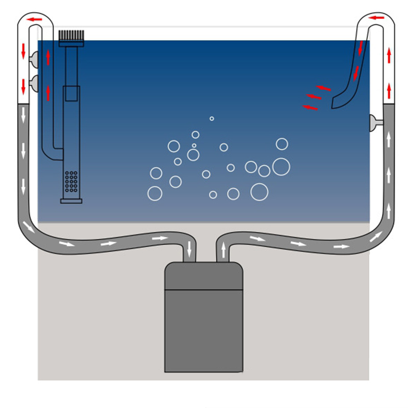 Tubería de lirio para tanque d - Aquael Filter Fzn reseña y precio