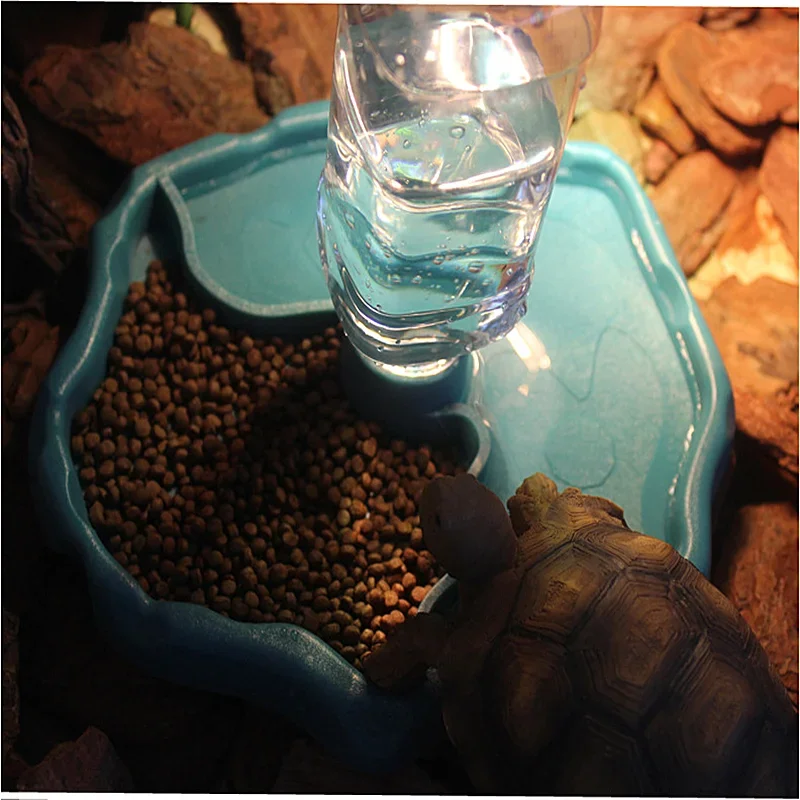 Comedero para Reptiles 2 en 1, - Water Dish Reptile reseña y precio