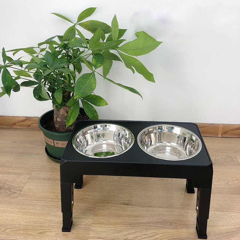 BOOTEELY Cuencos elevados para - Royal Canin Food Medium reseña y precio