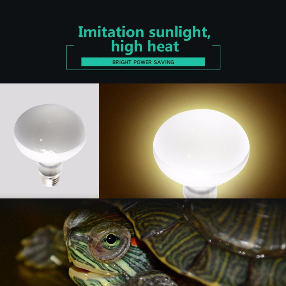 Lámpara de Calor para Anfibios - Basking Bulb Halogen reseña y precio
