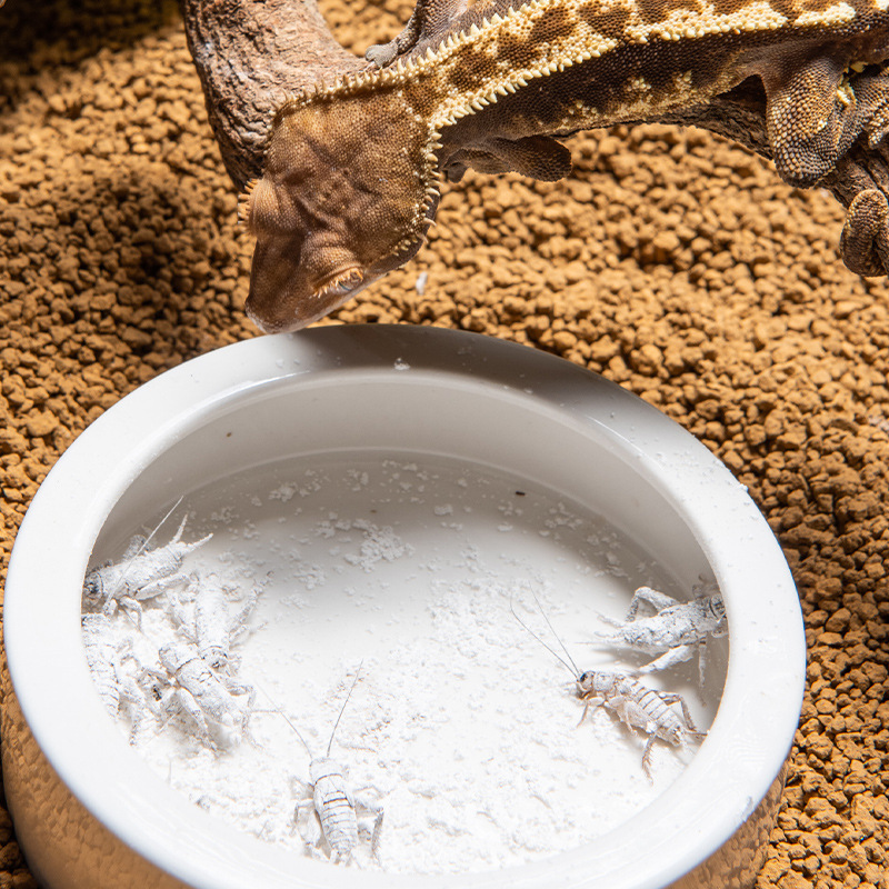 SuperRep Reptile Calcium Pro-V - Vitamin D3 Reptile reseña y precio