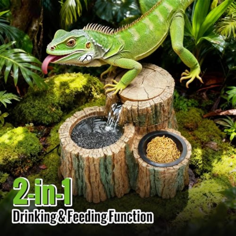 Bebedero para Reptiles 2 en 1  - Water Dish Reptile reseña y precio