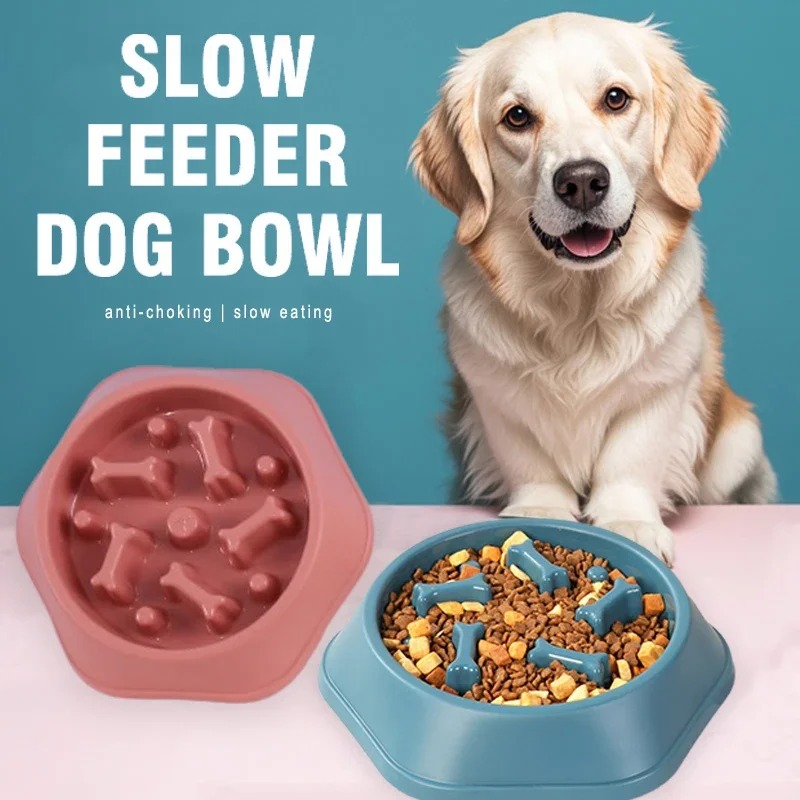 1 Plato de Alimentación Lenta  - Royal Canin Food Medium reseña y precio