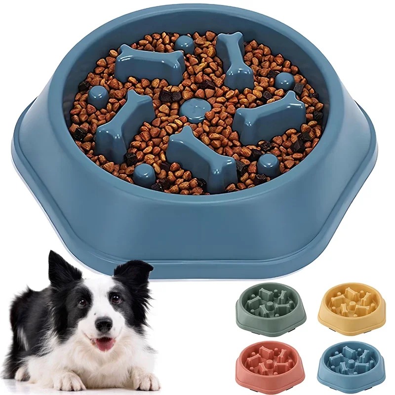 1 Plato de Alimentación Lenta  - Royal Canin Food Medium reseña y precio